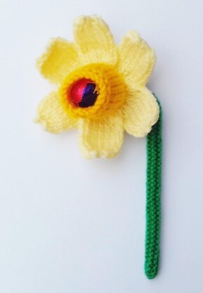 Daffodil - Creme Egg Cover