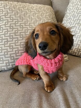 Dog Waffle Stitch Sweater