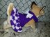 Two tone Dog Dress Harness