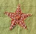 Starfish Throw/Blanket in Debbie Bliss Cashmerino Aran