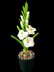 Crochet Gladiolus flowers