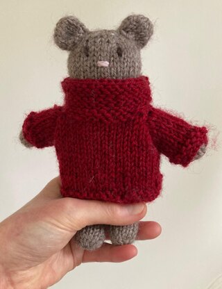 Little Bear in Jumper