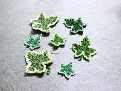 Variegated ivy leaves