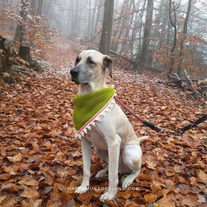 Dog Bandana