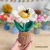 Bumble Blossom Anemone Amigurumi Crochet Pattern