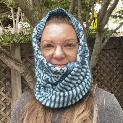 Dual Dualities Cowl