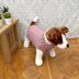 Dog Coat Jumper Knitting Pattern #654