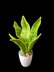 Crochet Snake plant pattern