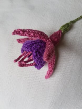 Knitted Fuchsia