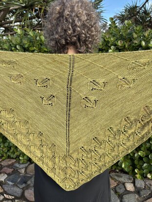 Fronde Shawl