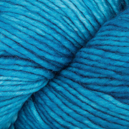 Malabrigo Worsted 702 Paris Teal Set of 5 Full Size Skeins – Wool and  Company