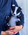 Baby Badger toy