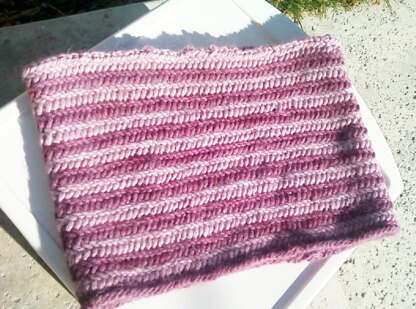 Fishtail Braid Cowl