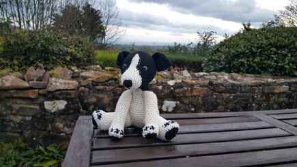 Jeremy the Jack Russells #3