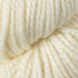 Jasmine (11801B)