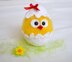 Easter chicken. Crochet chicks. Hatched chicken amigurumi. Chick in eggshell.  Easter project
