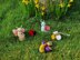 PDF KNITTING PATTERN Easter Garden Critters Creme Egg Cover Chocolate Egg DK Easter Egg Hunt EASY Toy