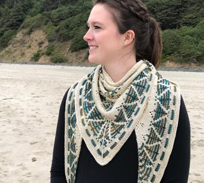 Neahkahnie Mountain Shawl