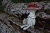 Amanita Mushroom Doll