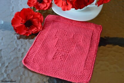 Dishcloth1