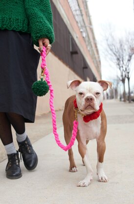 Loopy Mango Big Loop Dog Leash