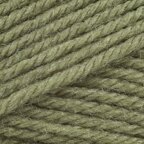 Lion Brand Yarn 860-170E Vanna's Choice Yarn, Pea Green