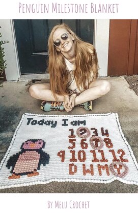 Crochet milestone online blanket