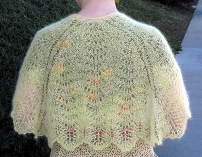 Mariposa Shawl