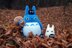 Chu and Chibi Totoro