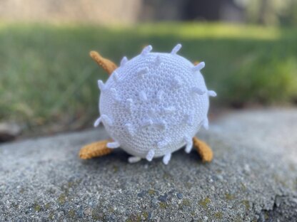 Bubbles the Puffer Fish