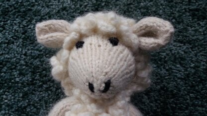 Sheep or lamb
