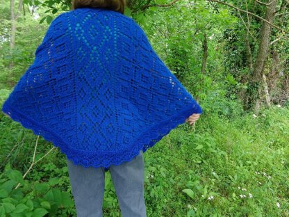 Sarah's Shawl