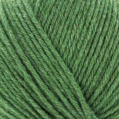 Grass (201638).