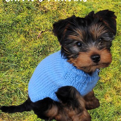 Knitting Pattern for Plain Dogs Coat, 4 Sizes Included, Aran Yarn, Sizes are X Small, Small, Medium and Large, Dog Sweater Aran Yarn Knitting Pattern, KP606 - knitting pattern