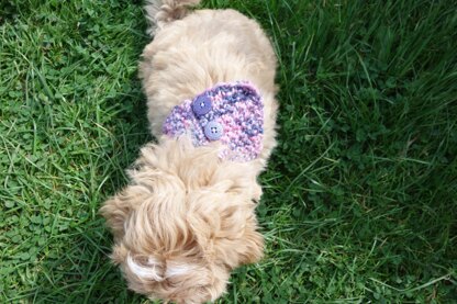 Dog Raspberry Buttoned Cowl