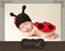 Newborn Ladybug Hat and Bottom Cover