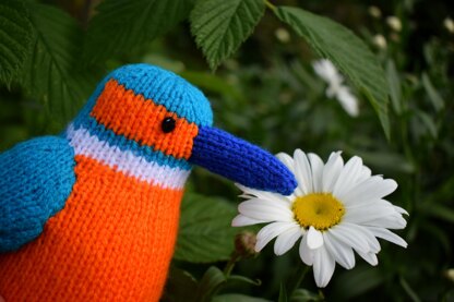 Kenneth the Kingfisher