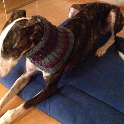 Rona's Easy Striped Greyhound Neck Snood - knitting pattern
