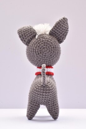 Peruvian Dog