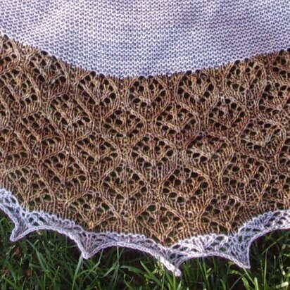 Ogee Shawl