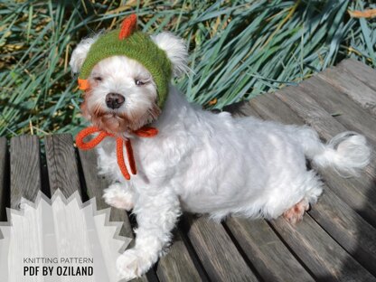 Knitting Pattern Dragon dog hat for small dog Size XS