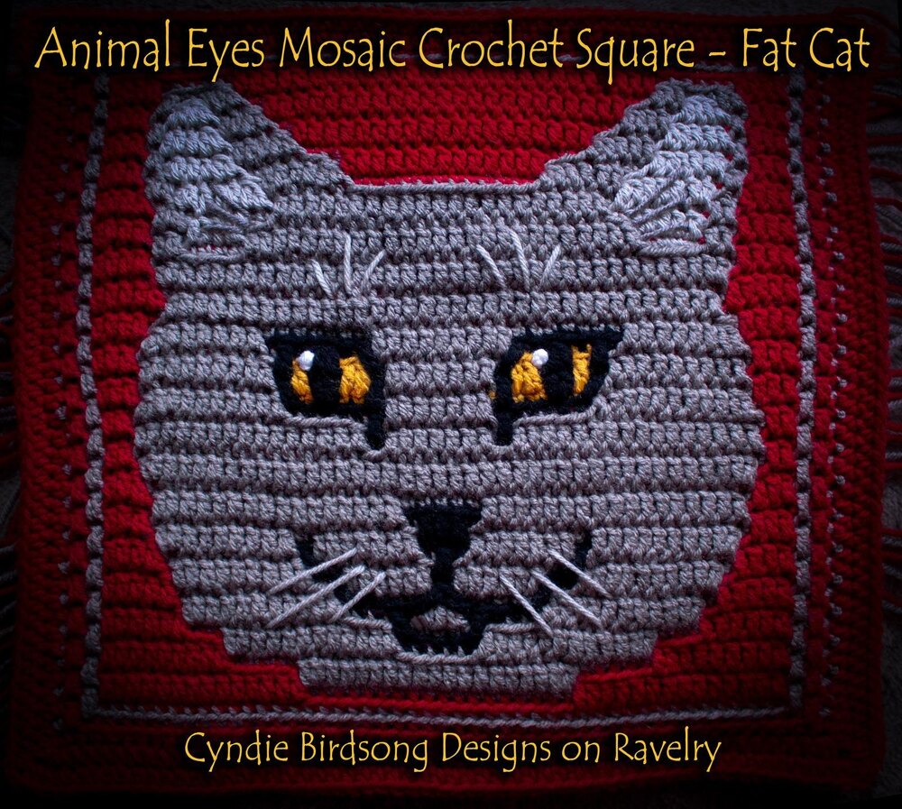 Animal Eyes Mosaic Crochet Square - Fat Cat Crochet pattern by Cyndie  Birdsong