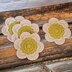 Flower Power Coasters - 6 Petals