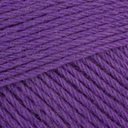 Pansy Purple (1247)