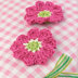 Crocheted Flowers