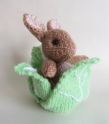 Rabbit in the Lettuce Chocolate Orange Cover Easter