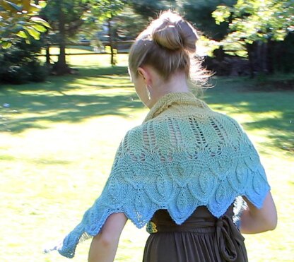 Rare Bird Shawl