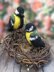 Bullfinch, Tit, Sparrow, Coalmouse bird, Amigurumi bird