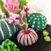 3 cacti set