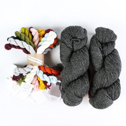 Blue Sky Fibers 21 Color Scarf Kit – Wool and Company